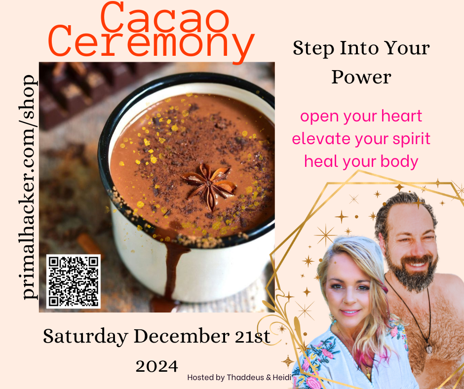 A Mini Retreat:  CACAO CEREMONY + Yoga + Breathing in Beats + Sauna